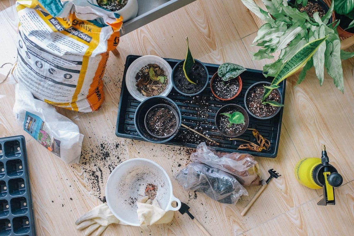 pièges alimentaires