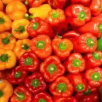 Cuisinez des plats épicés et savoureux avec des piments frais !