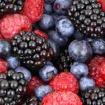 Planter de petits fruits dans le jardin