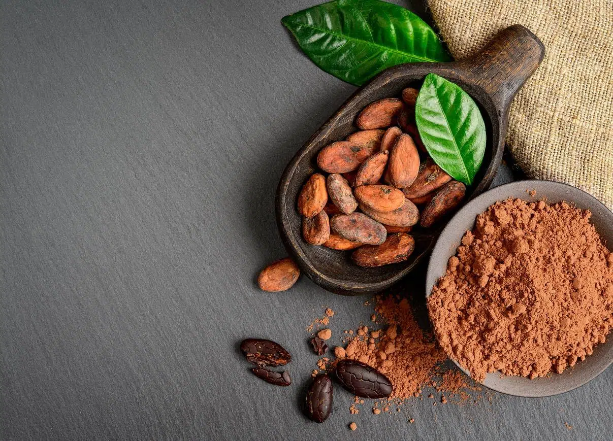super aliments bienfaits fève cacao
